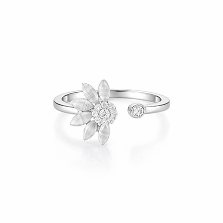 Ring Product Photoshoot